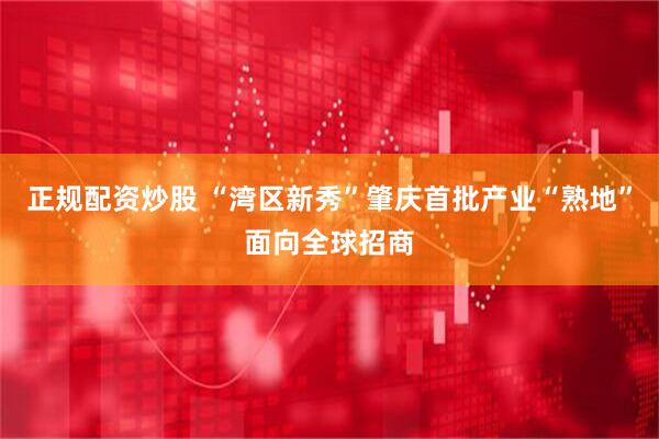 正规配资炒股 “湾区新秀”肇庆首批产业“熟地”面向全球招商