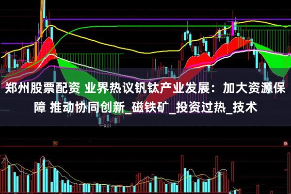 郑州股票配资 业界热议钒钛产业发展：加大资源保障 推动协同创新_磁铁矿_投资过热_技术